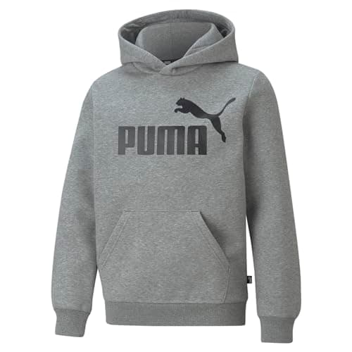 Image of PUMA Essentials Big Logo Youth Hoodie Medium Gray Heather 152