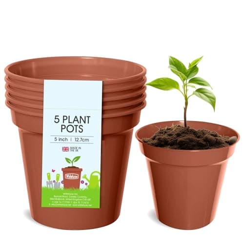 Image of WHITEFURZE 12.7CM GARDEN POT - TERRACOTTA SET OF 5