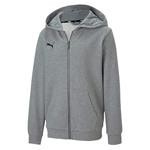 Image of PUMA teamGOAL 23 Casuals Hooded Jacket
