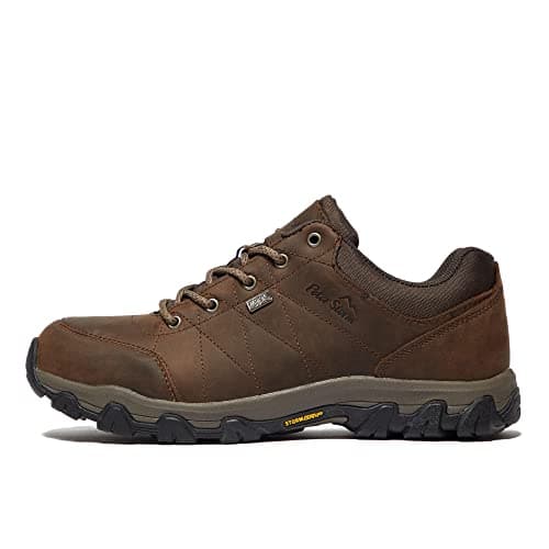 Image of Peter Storm Men’s Lindale Walking Shoes with High Traction Rubber Sole for All Seasons, Durable Leather Uppe (Brown, UK Footwear Size System, Adult, Men, Numeric, Medium, 11)