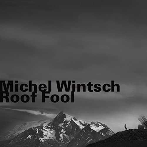 Image of Roof Fool