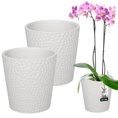 Image of KOTARBAU® Set of 2 Flower Pots, White Ceramic Glazed, Diameter 9.5 cm, Height: 11 cm, Orchid Pot, Ceramic Flower Pots, Ceramic Plant Pot, Modern Flower Pots, Indoor Plants