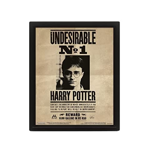 Image of Pyramid International HARRY POTTER Sirius Black 3D Lenticular Poster of 25cm x 20cm x 1.3cm in Box Frame - Official Merchandise
