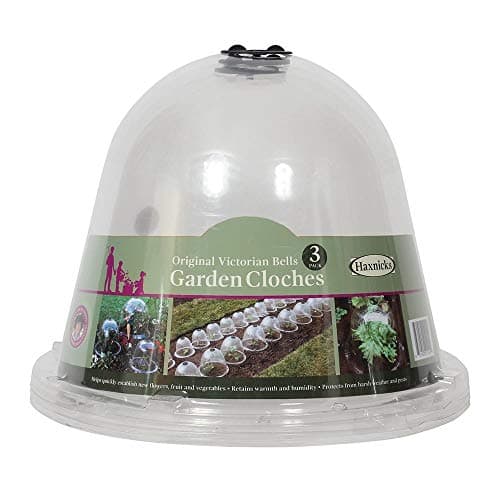 Image of Haxnicks Bell050101 Original Bell Jar Cloches for Warming Garden Soil and Growing Plants, Clear (Pack of 3)