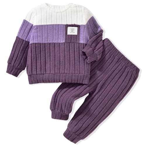Image of Geagodelia Toddler Baby Boy Outfits Sweatshirt Patchwork Colour Long Sleeve Round Neck Fall Elastic Infant Boys Outfit Clothes Pullover Tops Pants Set (PURPLE, 6-12 Months)