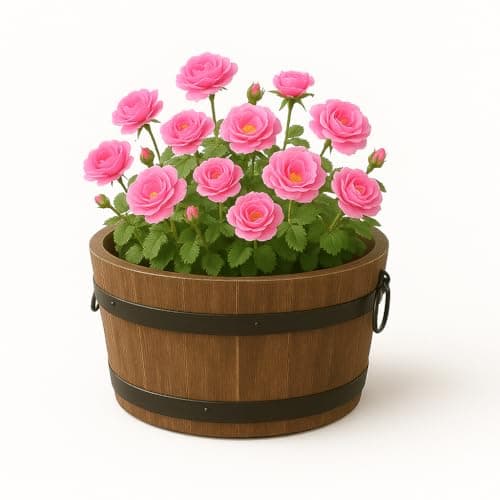 Image of Gardening Naturally Rustic Burnt Wood Barrel Planter (Large) Outdoor Planter with Drainage Hole, Two Handles & Black Barrel Rings