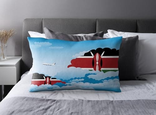 Image of CITY POSTERS PLUS Kenya Airplane Day Clouds Pillow Case and Pillow Throw (18x18 inches/Pillow Throw)
