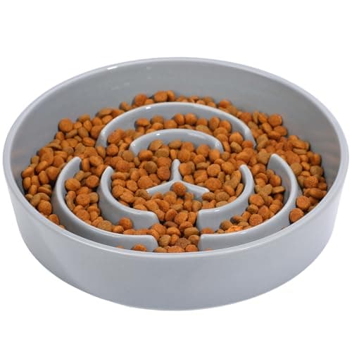 Image of IDOGCHEW Slow Feeder Dog Bowl Ceramic, Slow Down Eating Food for Prevent Bloat Anti Choking, Maze Puzzle Feeder Feeding Bowls for Dogs Healthy Digestion Weight Control 20.5x4.5 cm(1.77x8.07 in)