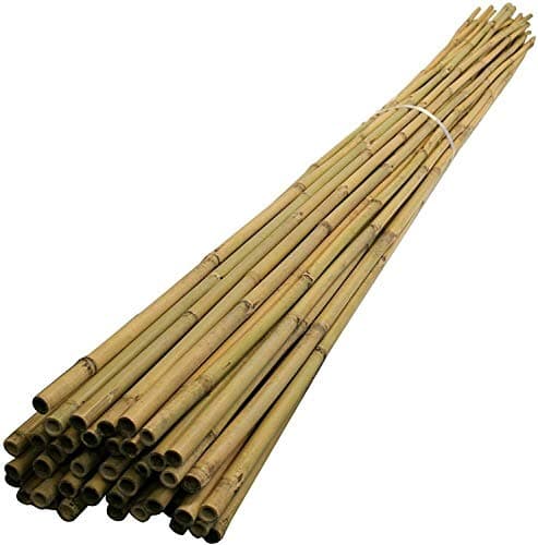 Image of 10 x 6FT (14-16mm) Bamboo Garden Canes/Stake/Pole Garden Plant Flower Support Sticks Outdoor/Indoor Plants Support Natural Strong (Pack Of 10)