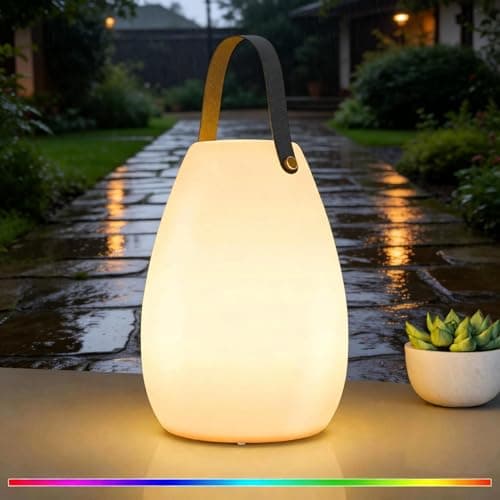 Image of FUYO Portable Outdoor Table Lamp, Dimmable Rechargeable Night Lights Remote and RGB Colors, IP44 Water-Resistant Hanging Camping Lantern for Patio Tent Bedroom Garden (Large-Black Handle-1 Pack)
