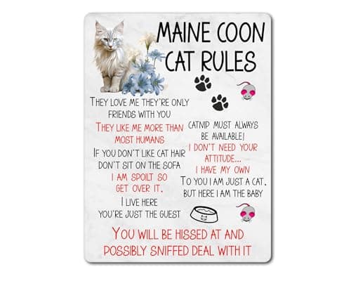 Image of Maine Coon Cat Metal Sign Gift – Maine Coon Cat Rules – I Am Spoilt So Get Over It – Family Fun Pet Animal Novelty Aluminium Present