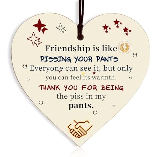 Image of Friend Gifts for Women Friendship Gift Birthday Girlfriend Wooden Hanging Heart Plaque Cute Funny Inspirational Quote Special Gifts for Women