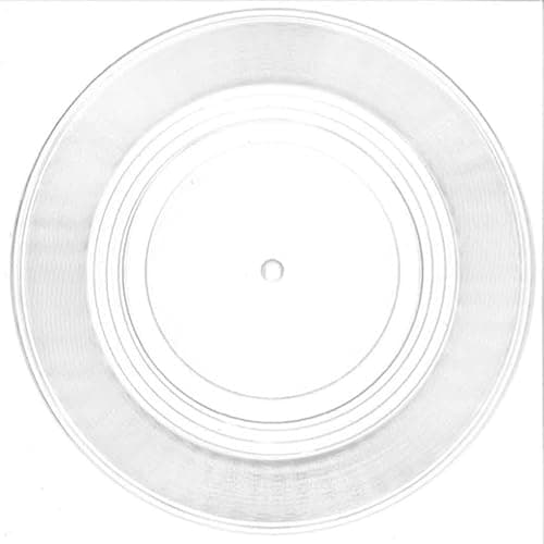 Image of The Bathtub Madonnas (Japan Exclusive Vinyl Demo)