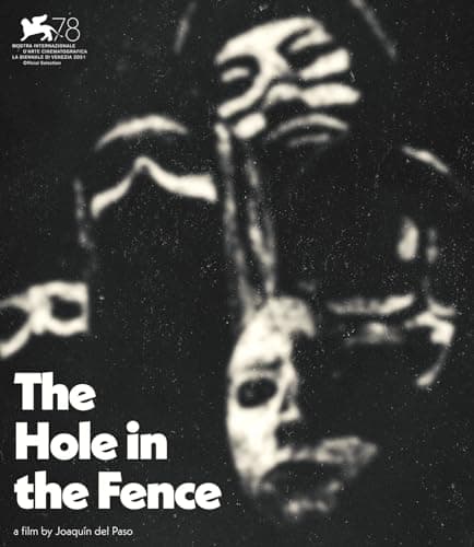 Image of The Hole In the Fence