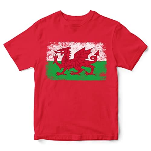 Image of Purple Print House Wales Rugby Flag T Shirt for Kids, Cymru Boys Gifts for Rugby Fan, Welsh Unisex Childrens Tshirts, 3-4 Years, Red