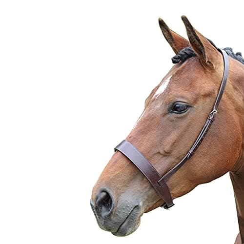 Image of Shires Blenheim Cavesson Noseband-Havana Pony