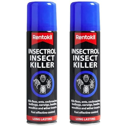 Image of Insecticidal Lacquer 300ml – Pack of 2 | Long-Lasting Insect Killer Spray for Ants, Cockroaches, Woodlice & Crawling Insects | Indoor & Outdoor Use