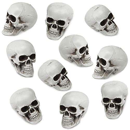 Image of YumSur 10 Pieces Resin Skull Small Realistic Human Skull Replica Model for Home
