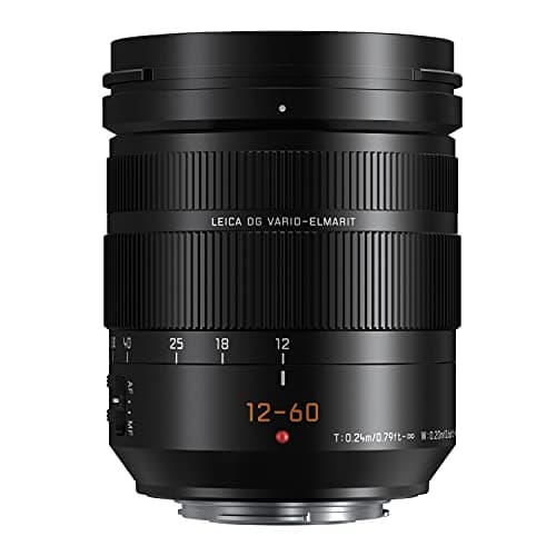 Image of Panasonic LUMIX Professional 12-60mm Camera Lens, Leica DG Vario-ELMARIT, F2.8-4.0 ASPH, Dual I.S. 2.0 with Power O.I.S, Mirrorless Micro Four Thirds, H-ES12060 (Black)