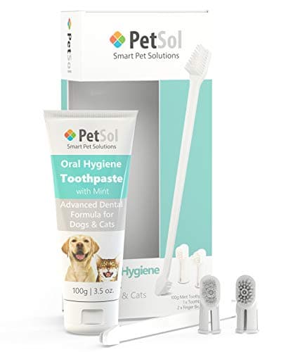 Image of PetSol Dental Care Kit for Dogs & Cats Toothpaste (100g) with 3 x Toothbrushes to Clean Pet's Teeth, Remove Plaque and Tartar, Improve Gum and Tooth Health & Pet Oral Hygiene