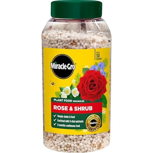 Image of Miracle-Gro Premium Rose & Shrub Continuous Release Plant Food, 900G