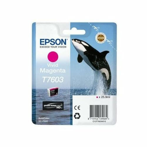 Image of Epson Original Ink Cartridge C13T76034N10 Magenta