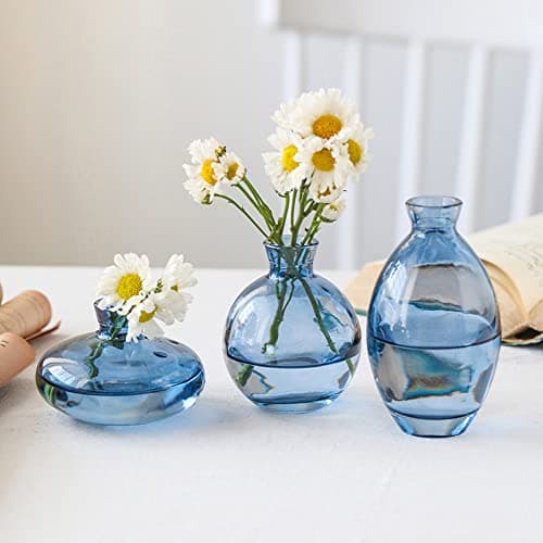 Image of Hniuyun 3Pcs/Set Glass Vase, Small Mini Flowers Bud Vases, Transparent Hydroponic Vase Minimalist Aesthetic Home Decor (Blue)