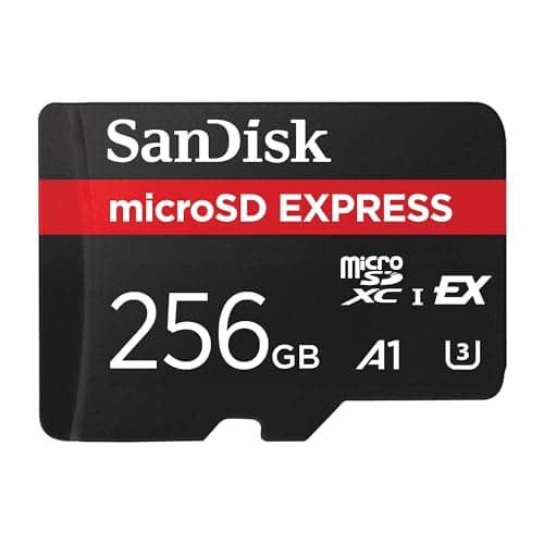 Image of SanDisk microSD Express Card 256GB - Works with Nintendo Switch™ 2 (Up to 880MB/s Read, Up to 650MB/s Write, 210MB/s Sustained Write, SanDisk QuickFlow Technology, ThermAdapt, UHS-I, U3, C10)