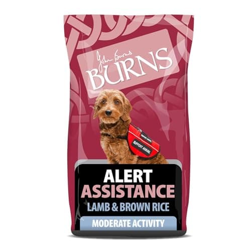 Image of Burns Pet Nutrition Hypoallergenic Complete Dry Dog Food Adult and Senior Dog Alert Lamb and Brown Rice 12 kg