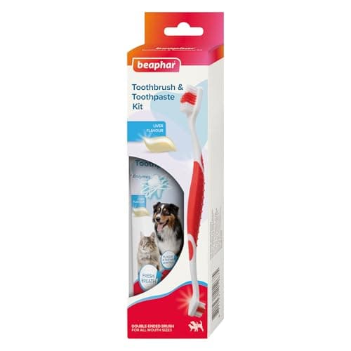 Image of Beaphar - Toothbrush & Toothpaste Dental Care Kit for Cats & Dogs - Double-Ended Brush & Liver-Flavoured Toothpaste with Enzymes - Helps Control Plaque & Tartar - 1 Toothbrush and 100g Tube