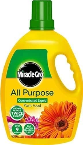 Image of Miracle-Gro All Purpose Concentrate Liquid Plant Food 2.5L