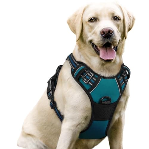 Image of rabbitgoo Dog Harness Large Dog No Pull Pet Harness with 2 Leash Clips, Adjustable Soft Padded Pet Vest, Reflective No-Choke with Easy Control Handle for Training or Walking, Dark Green, L
