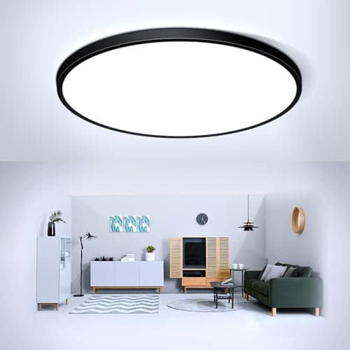 Image of 24W Black LED Flush Mount Ceiling Light, 6500K Daylight White Bathroom Light, 2000LM, Flat Modern Round Lighting, 240W Equivalent White Ceiling Lamp for Kitchens, Hallway, Bedrooms.etc. 10.6in/27cm