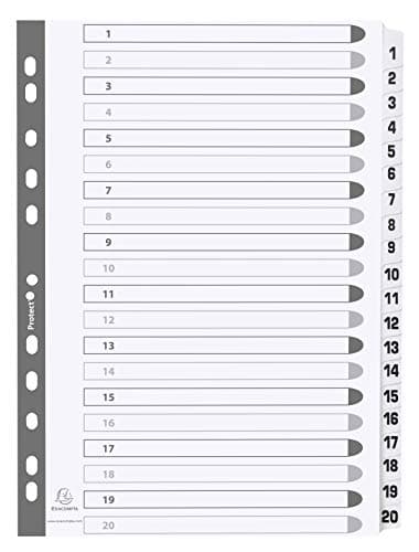 Image of Exacompta - Ref MWD1-20Z - Mylar Printed Indices - For Use WithA4 Documents, Pre-Punched, 160gsm White Card with Reinforced Plastic Tabs, FSC-Certified - 20-Part Dividers (1-20)