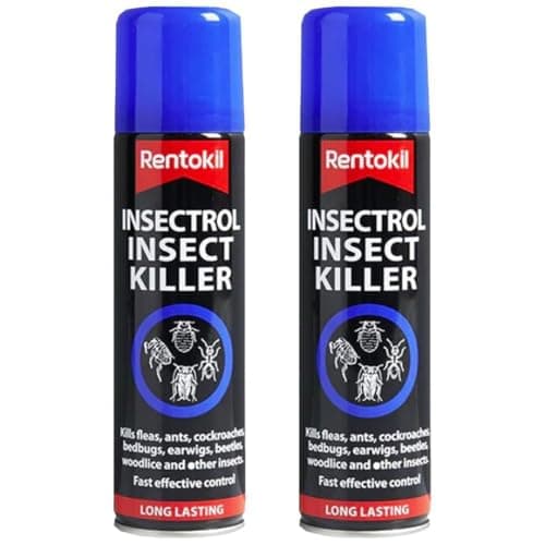 Image of DRW Insecticidal Lacquer 300ml – Pack of 2 | Long-Lasting Insect Killer Spray for Ants, Cockroaches, Woodlice & Crawling Insects | Indoor & Outdoor Use