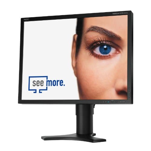 Image of NEC Displays MultiSync LCD2190UXp 21 inch TFT LCD monitor (1000:1, 300 cd/m, 1600 x 1200, 8ms, DVI-D (Black))