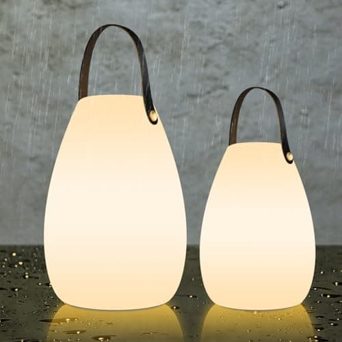 Image of FUYO Portable Outdoor Table Lamp, Dimmable Rechargeable Night Lights Remote and RGB Colors, IP44 Water-Resistant Hanging Camping Lantern for Patio Tent Bedroom Garden (M+L-Black Handle)