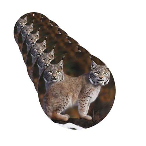 Image of 6 Pcs Car Air Fresheners Hanging Air Freshener Fragrance Scented Cards Canada Lynx Car Aromatherapy Tablets for Car Interior Mirror Pendant Gifts for Women Men