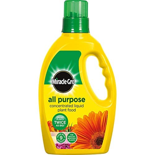 Image of 3 X Miracle-Gro All Purpose Concentrated Liquid Plant Food Bottle, 1 L