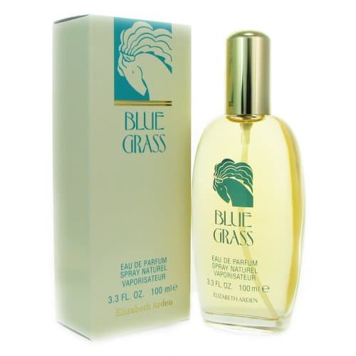 Image of Elizabeth Arden Blue Grass Eau de Parfum Spray 100ml