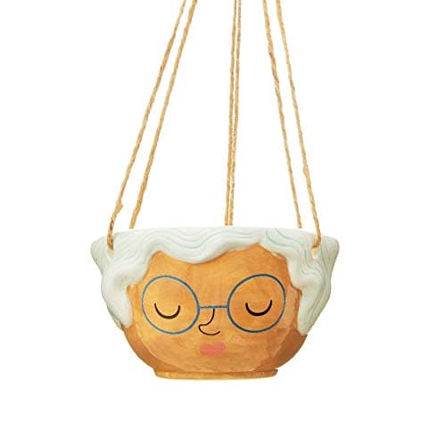 Image of Sass & Belle Rose Hanging Planter