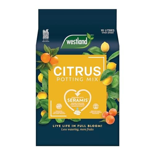 Image of Citrus Potting Mix 10L