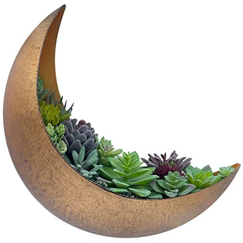 Image of AERLO Wall Mounted Metal Moon Planter - Hanging Crescent Pot for Succulents, Air Plants, Cacti - Boho Indoor Outdoor Moon Wall Decor for Bedroom, Bathroom, Living Room, Nursery - Rustic Gold