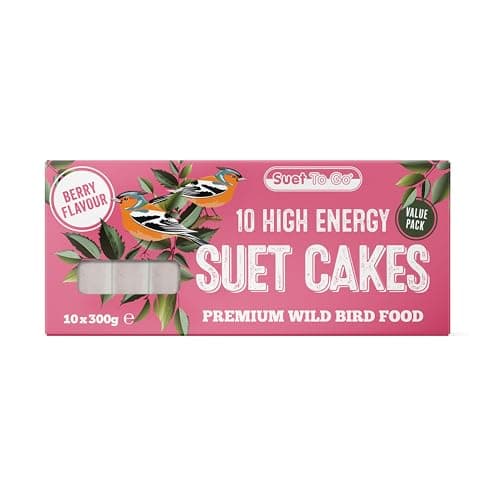 Image of Suet To Go Berry Suet Block Wild Bird Treat, 10 x 300 g,Packaging may vary