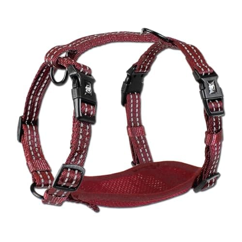 Image of Alcott Adventure Harness with Reflective Stitching & Mesh Padding, Small, Red