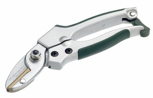Image of Bulldog BD3152C Premier Anvil Pruners, Silver