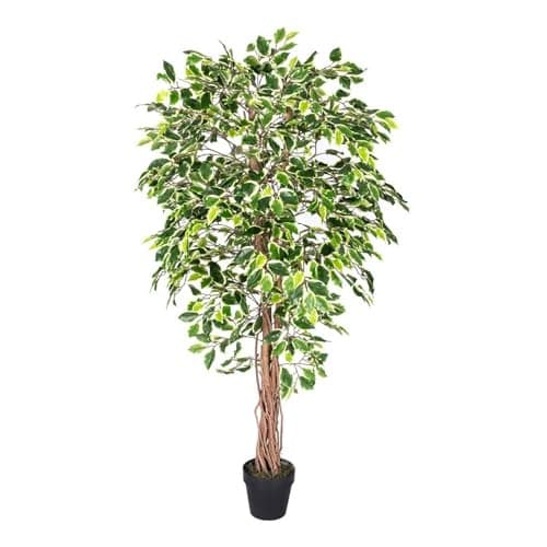 Image of HOMESCAPES 6ft Variegated Artificial Ficus Tree – Tall Artificial Plant Indoor with Real Wood Trunk & Lifelike Leaves, Decorative Faux Fake Plant with Pot for Home, Office, Living Room