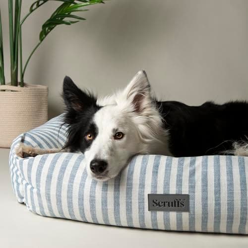 Image of Scruffs Coastal Dog/Pet Box Bed (L)
