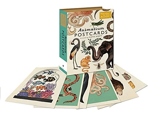 Image of Animalium Postcards: (Welcome To The Museum): by Katie Scott
