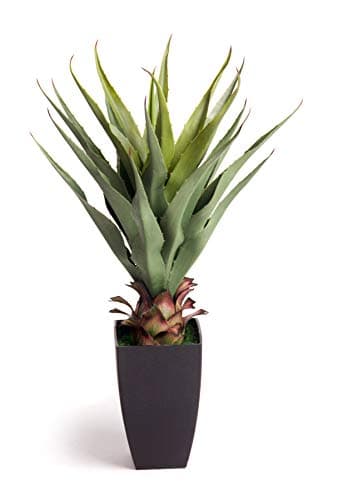 Image of Best Artificial 70cm 2ft Aloe Vera Plant Indoor Outdoor Tropical Office Conservatory Garden Tree
